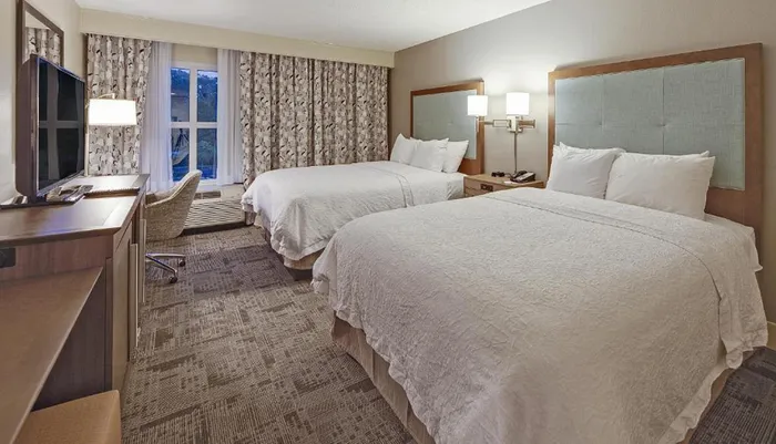 The image shows a neat and modern hotel room with two queen-sized beds patterned curtains and complementary furnishings exuding a welcoming ambiance