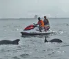 Two people are riding a jet ski while dolphins are visible in the foreground of the ocean water