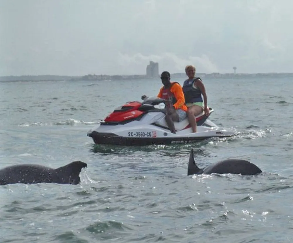Two people are riding a jet ski while dolphins are visible in the foreground of the ocean water