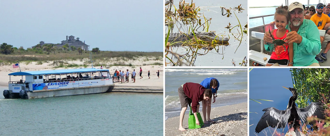 Myrtle Beach Shell Island & Murrells Inlet Eco Cruise