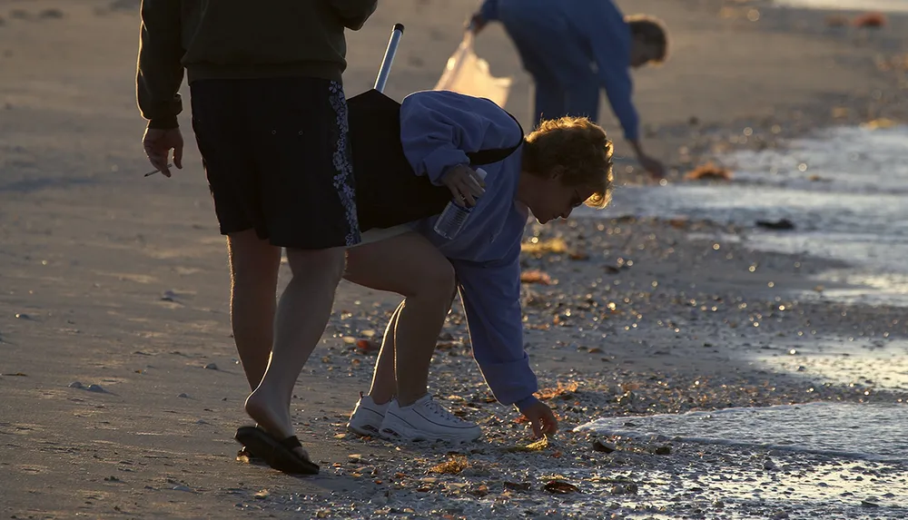 People are strolling and bending over to pick up objects along a sunlit beach creating a serene shoreline scene