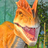Dino Park Myrtle Beach
