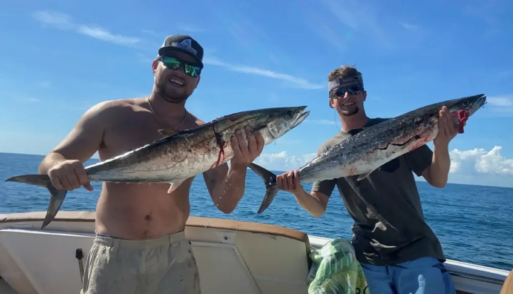 Two people are smiling on a boat proudly displaying their catch of large fish with a clear blue sky and calm sea in the background