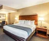 Comfort Inn Alexandria VA Room Photos