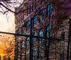 This is an image of a city street at dusk with the warm glow of the sunset visible between the silhouettes of trees and buildings creating an atmospheric urban scene