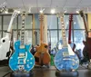 The image shows a collection of various electric guitars on display featuring different colors and designs with a reflective floor and large windows in the background of a music store