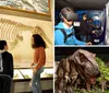 Several people including young visitors are observing the skeletal remains of a prehistoric creature on display in a museum exhibit