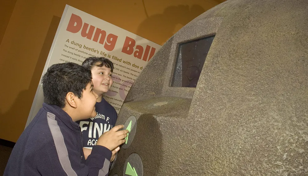 Two children are engaged and smiling as they look at an interactive exhibit featuring a large simulated dung ball at a museum or educational center