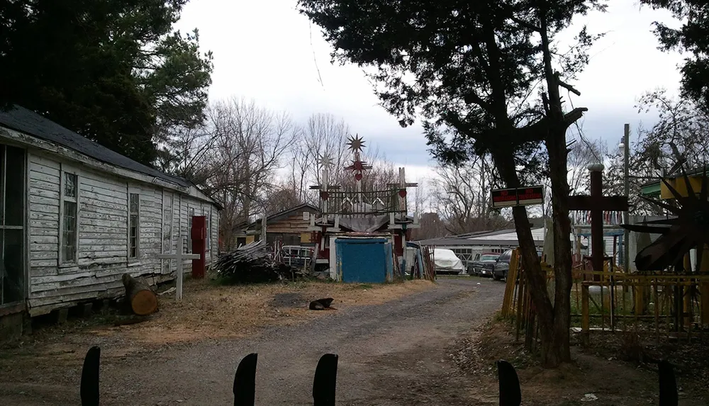 The image shows a rustic and cluttered yard with a weathered wooden structure on the left assorted materials and sculptures scattered about and a cat lounging on the driveway