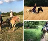 Shelby Farms Stable Rides