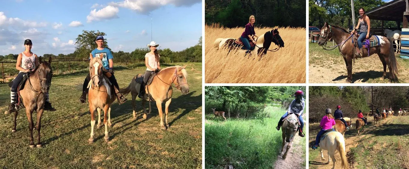 Horseback Trail Rides at Shelby Farms Park
