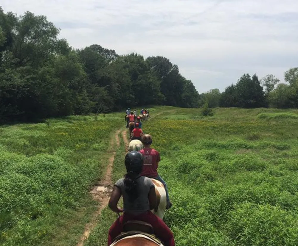 A group of people on horseback follow a trail through a green field under a clear sky