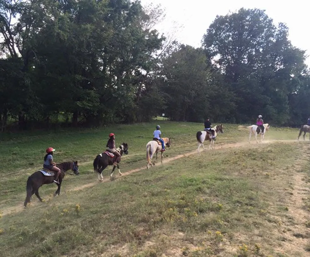 A group of people are enjoying a horseback ride in a grassy field bordered by trees