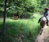 Shelby Farms Stable Rides