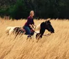 Shelby Farms Stable Rides