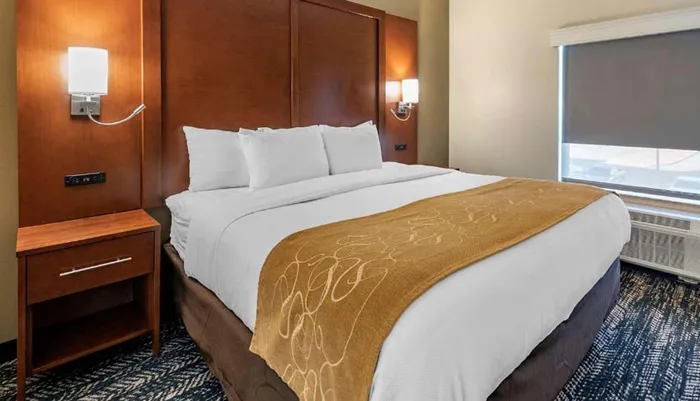 This image shows a neatly made hotel room bed with white linens and a decorative brown throw flanked by wooden headboard panels and wall-mounted lamps