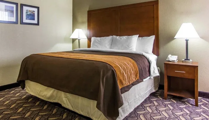 The image shows a neatly made bed with white linens and brown covers flanked by two nightstands with lamps in a tidy hotel room