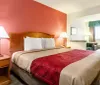 The image shows a neatly arranged hotel room with a king-sized bed a red accent wall nightstands with lamps and a window with curtains