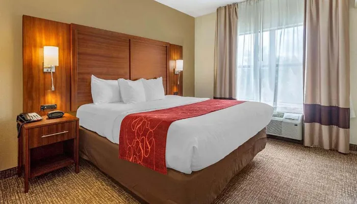 The image shows a neatly made king-sized bed with a red accent runner in a well-lit contemporary hotel room