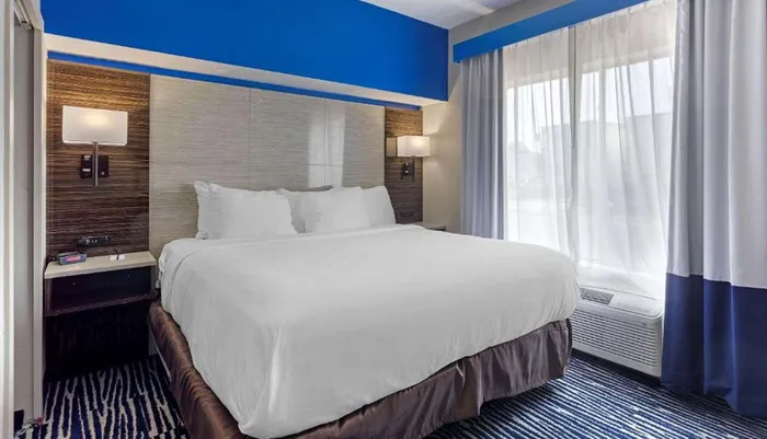 The image shows a modern hotel room with a neatly made bed a blue and brown color scheme and a large window with sheer curtains