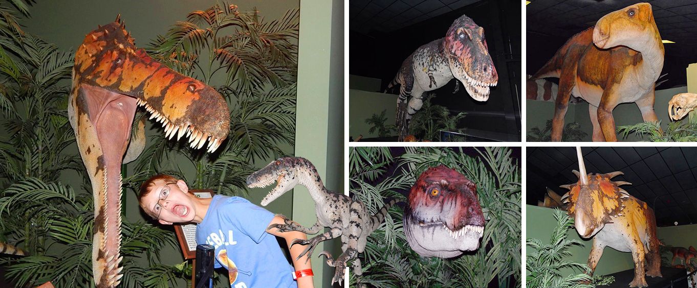 Dinosaur Museum Collage