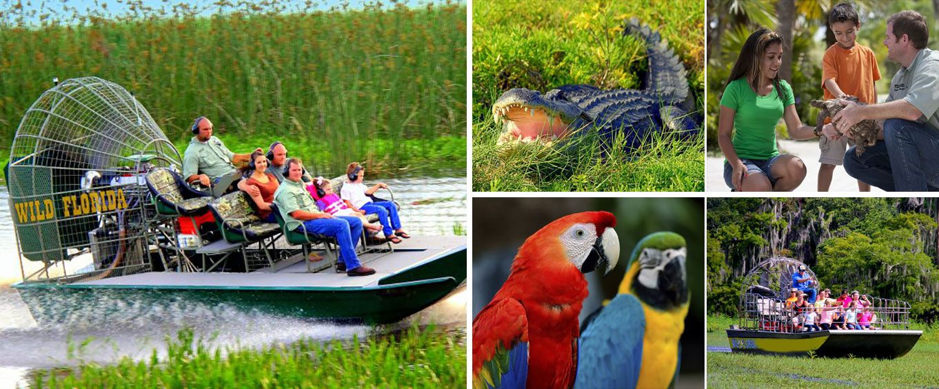 1/2 Day Everglades with Safari Park Admission Collage