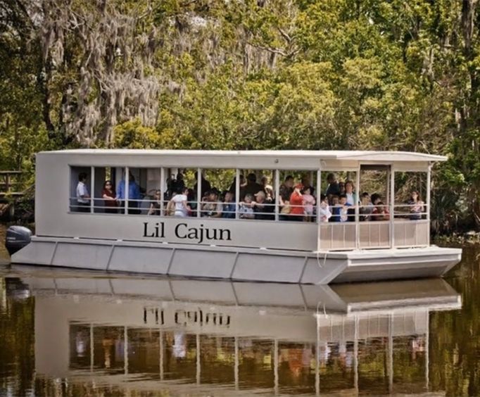 Lil Cajun Boat on the Swamp and Bayou Tour