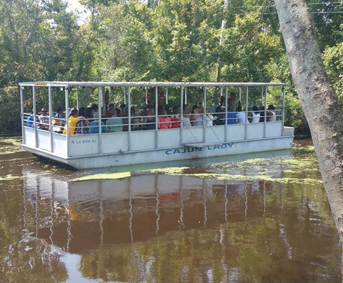 On the Cajun Lady with the Cajun Pride Swamp Boat Tour