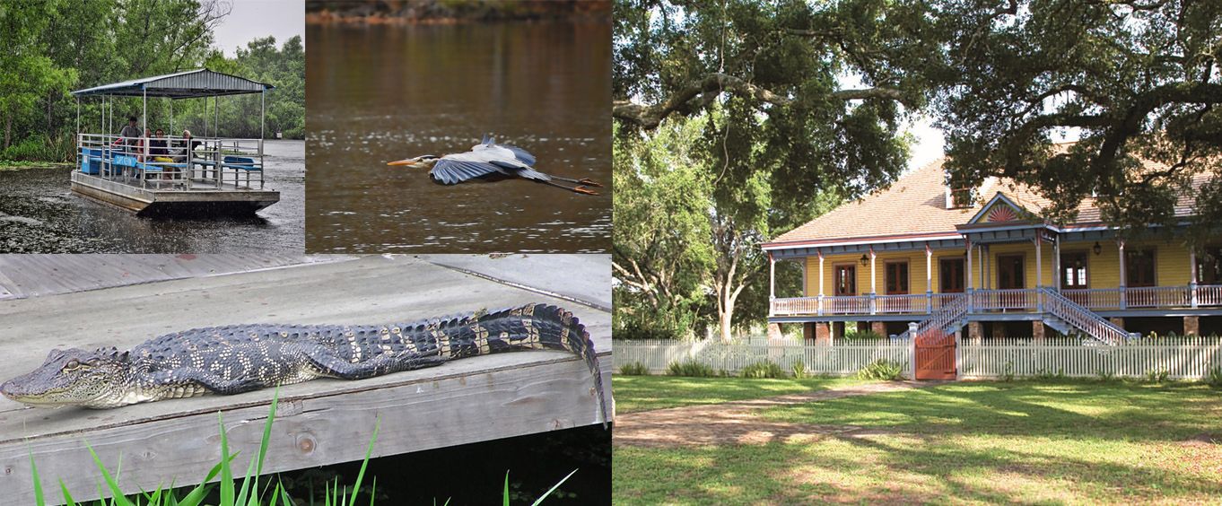 Grand Tour with 2 Plantations & Pontoon Boat Cajun Bayou Tour Collage