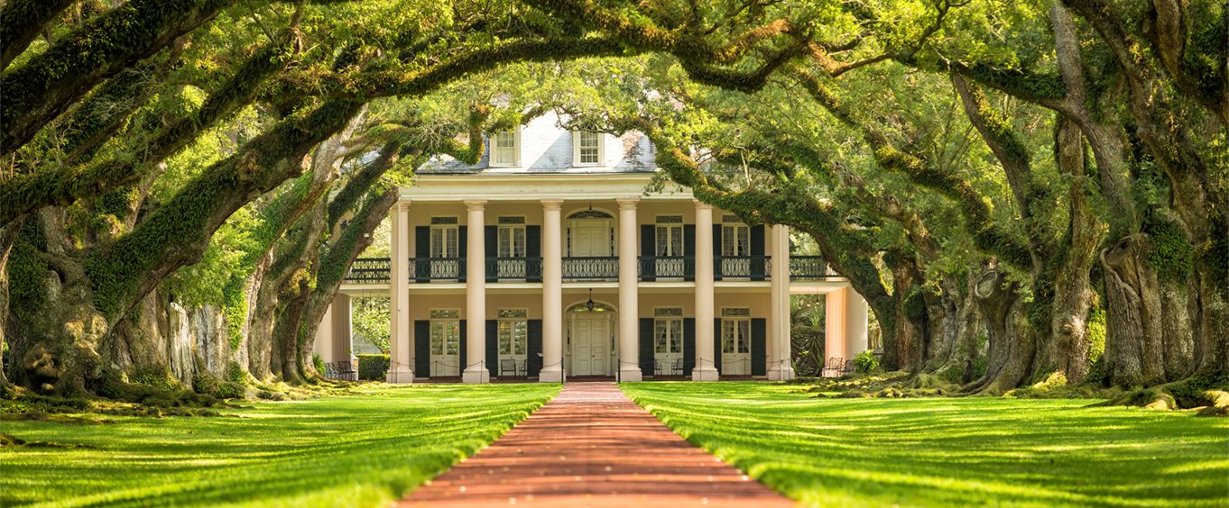Oak Alley Plantation & Swamp Tours Large