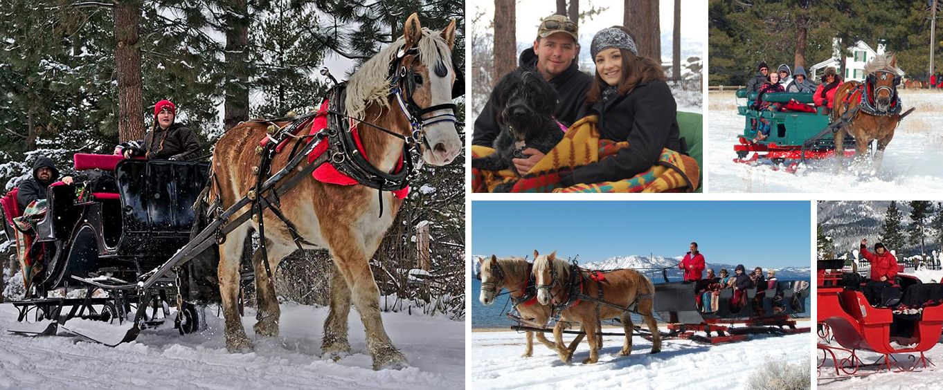 Experience the Sunset Sleigh Ride and Dinner