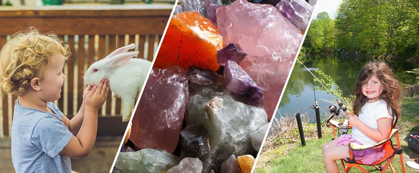 Adventures at Big Rock Dude Ranch at Ponderosa Collage