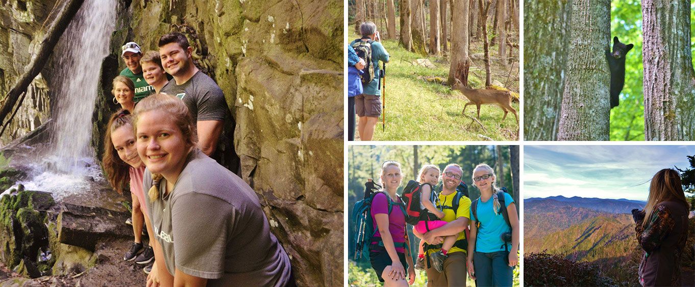 Hike The Smokys Collage