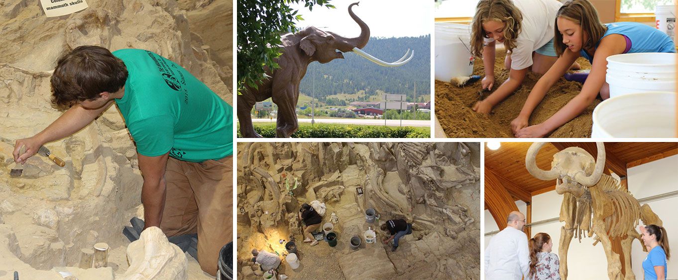 Mammoth Site of Hot Springs, SD Collage