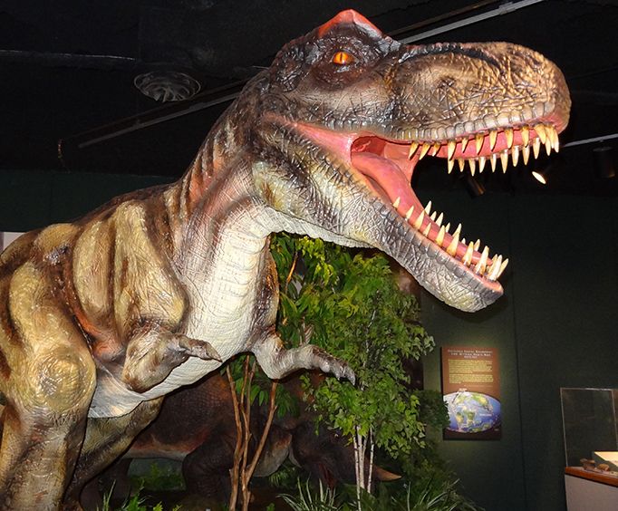 IMAX and Pink Palace Museum Combination Ticket Dino