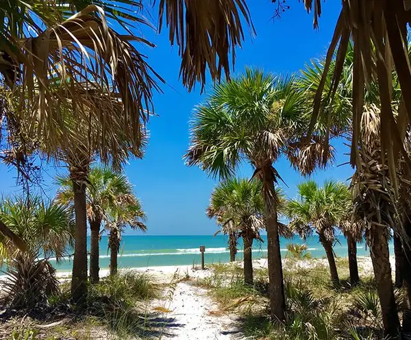 Caladesi Island