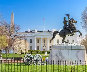 White House 