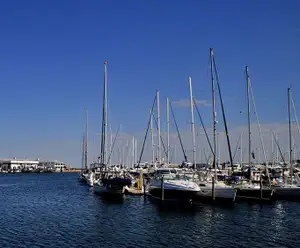 Dock Q48 in St. Petersburg, FL near Tampa Bay, FL