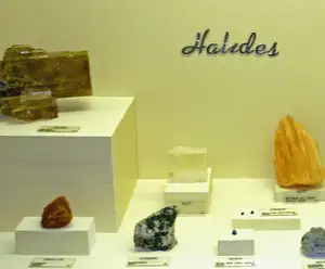 Museum of Geology