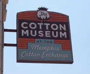 The Cotton Museum