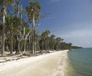 Tahiti Beach