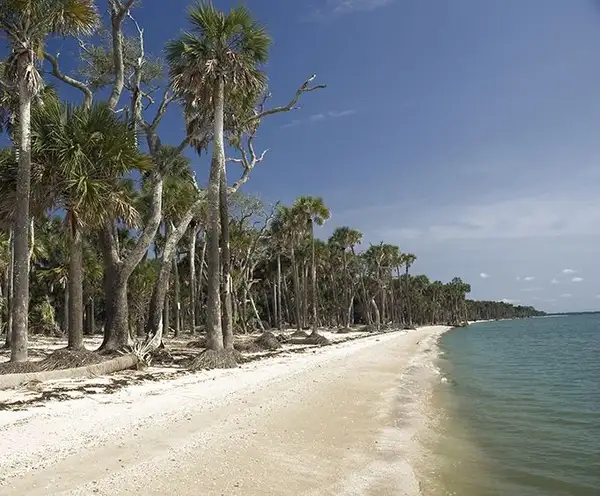 Tahiti Beach
