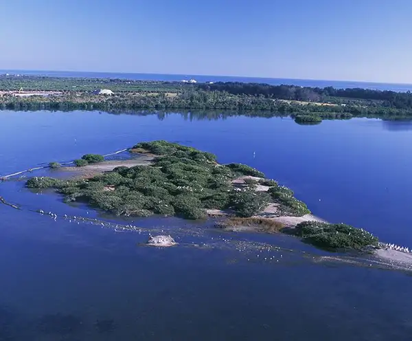 Pelican Island 