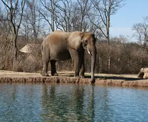 Nashville Zoo in Nashville