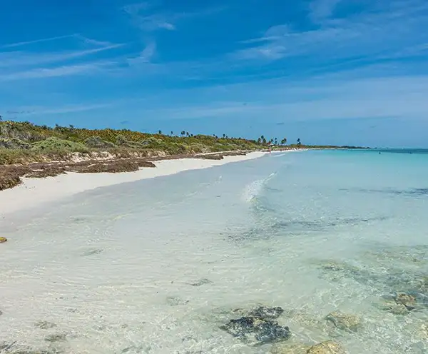 Sandspur Island 