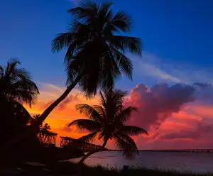 Florida Keys 
