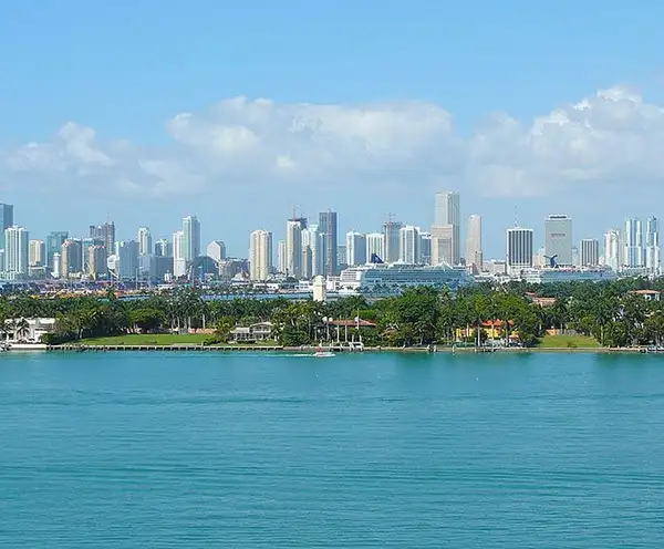 Miami Skyline