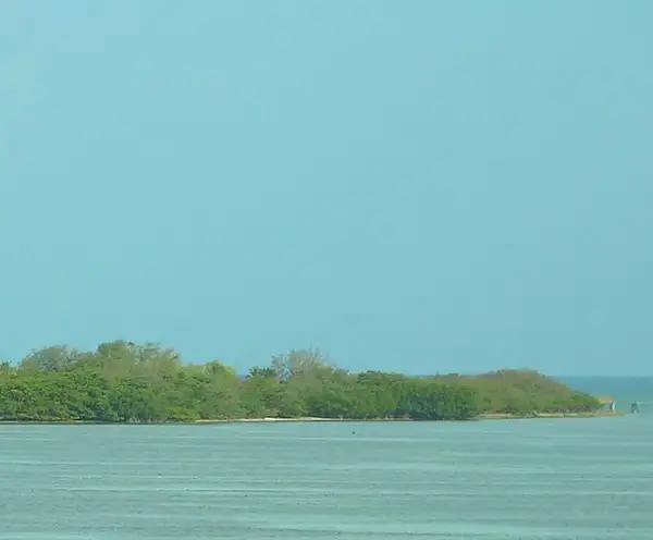 New River Massacre Site