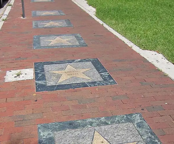 Celia Cruz Star in Little Havanah
