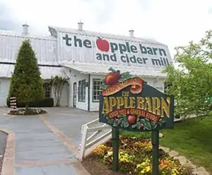 Christmas and Candle Shop near Pigeon Forge, TN
